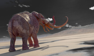 Fototapeta premium mammoth is angry in the desert after rain with copy space rear view
