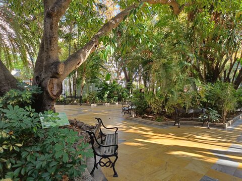 Marbella, Malaga, December 13, 2021 Alameda Park next to the old town of Marbella