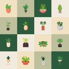set houseplants decoration