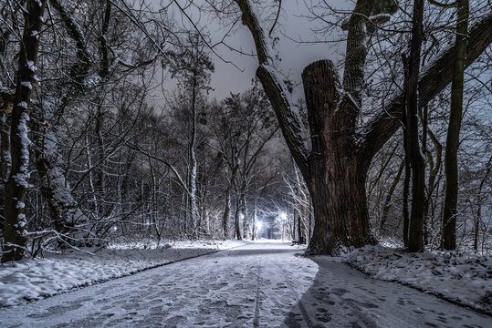 zima w parku nocą w Opolu