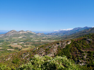 Fototapeta na wymiar Aerial view of vineyards in Patrimonio hills, Corsica, France.