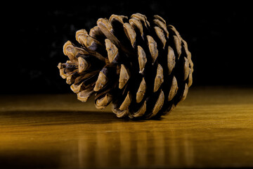 Pine cone on a wooden table surface