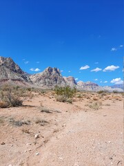 Nevada Desert 2