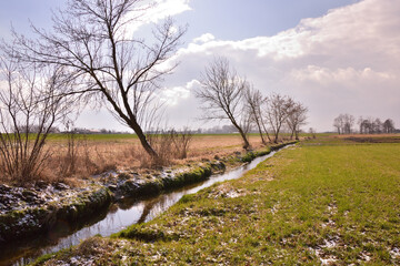 Trees by a small stream among the green spring fields on a sunny day.