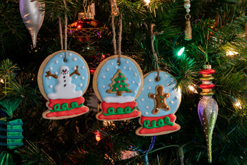 Homemade snow globe sugar cookies hanging on a Christmas tree.