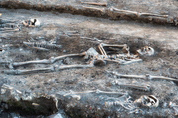 Skeleton in a mass grave