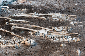 Skeleton in a mass grave