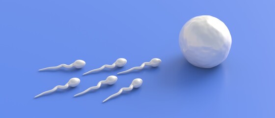 Fertilization.  Sperm cells moving to female ovum egg on blue background. 3d illustration