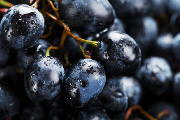 Juicy fruits of black ripe grapes close-up as texture.