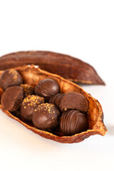 Cocoa cacao organic pod with chocolate candy on white background. Natural confectionery ingredients. Vertical orientation.