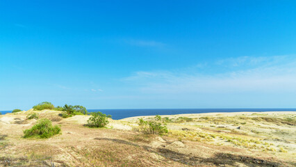 Sand dune Efa on the Curonian Spit, Baltic Sea, Kaliningrad region, Russia. Rare bushes on a sand...