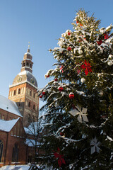 Close-up on Christmas tree and cathedral on a winter day. Riga. Latvia. Location vertical.