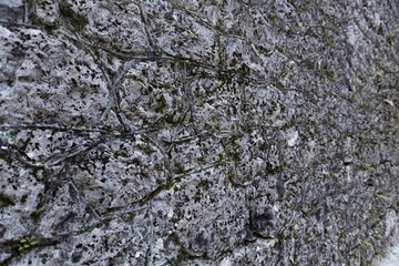 Old gray brick wall. Grunge brick wall. Background of old vintage brick wall.