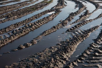 Poster Tire tracks of heavy agricultural machinery filled with frozen puddles on a muddy field © Matauw