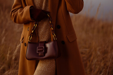 Trendy leather baguette bag, handbag. Stylish fashion details. Woman wearing brown autumn  coat, holding purse, posing, in nature. Copy, empty space for text