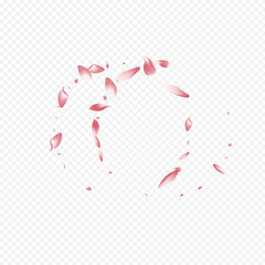 Bright Lotus Vector Transparent Background. Petal