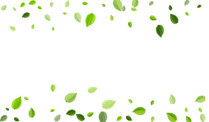 Fototapeta premium Green Greens Ecology Vector Poster. Flying