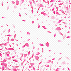 Light Flower Vector Transparent Background. Apple