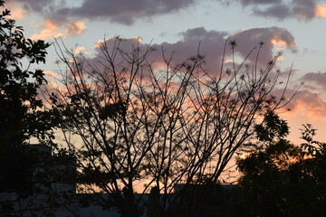 Obraz premium pôr-do-sol