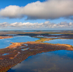 Fototapeta na wymiar tundra in autumn, air photo