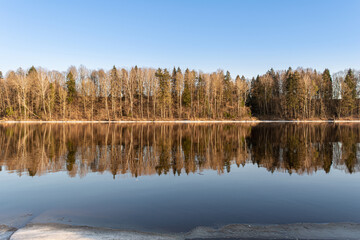 Frontal view of the blue river and the bank with tall trees. The clear blue sky and trees are reflected in the water. Spring landscape with a lake in the evening