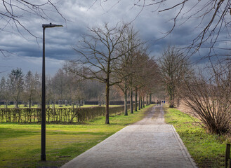 Autumn park landscape. Walking path leading to the forest area