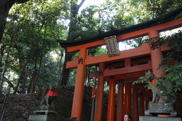 Kioto, Japón. El Fushimi Inari-Taisha es el principal santuario sintoísta dedicado al espíritu de Inari. 