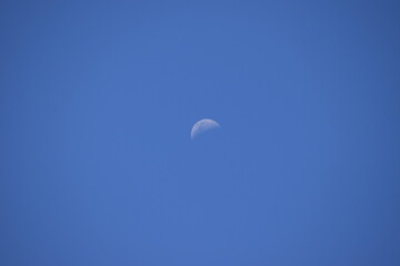 lua no céu do Cerrado