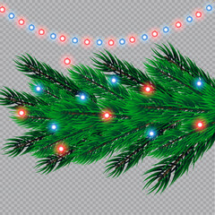 Christmas lights isolated on transparent background. Christmas glowing garlands on a green tree ..