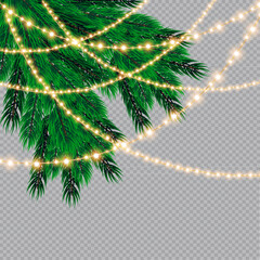 Christmas lights isolated on transparent background. Christmas glowing garlands on a green tree ..