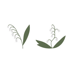 Vector color hand drawn illustration with Lily of the valley. Minimalist Spring Flower. Wildflower for logo design, tattoo, postcard