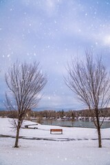 Snowfall In A Calgary Park