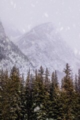 Obraz premium Snow Falling Over Mountains And Trees