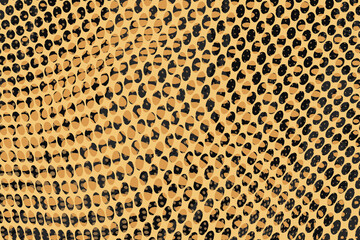 Vector abstract multicolor grunge background