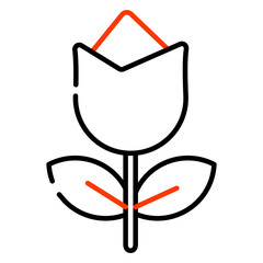 Fototapeta premium Flower