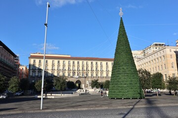 Napoli - Albero di Natale a Piazza Municipio