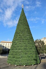 Napoli - Albero di Natale in Piazza Municipio
