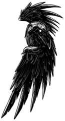 Cartoon graphic hand drawn evil raven crow with bloody black eyes. Isolated black and white vector tattoo sketch.