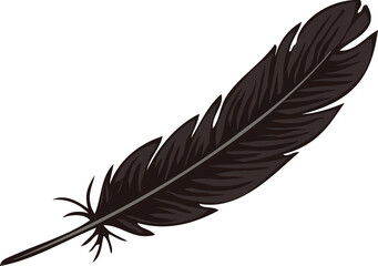 Black Bird Feather