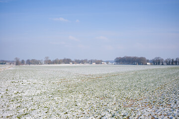 Frozen fields under snow in Europe, France, Normandy, between Dieppe and Fecamp, in Winter, on a...