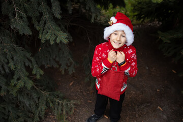 A boy in a red knitted Christmas sweater with a Christmas reindeer and a Santa Claus hat holds a red bag with gifts in his hands at the edge of the pine trees