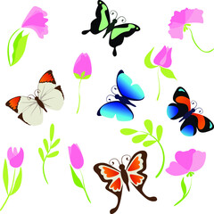 Fototapeta na wymiar Vector illustration, pattern with butterflies, spring. for postcards, for fabric. nature, insects, background