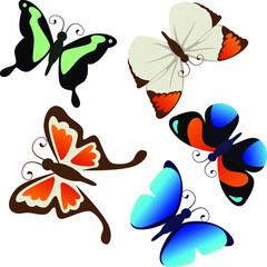 Vector illustration, pattern with butterflies, spring. for postcards, for fabric. nature, insects, background