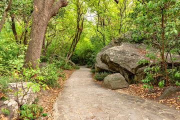 a narrow walkway with stone tiles in an old public park