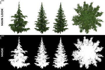 Obraz premium 3D Rendering of Front, Left and Top view of Tree (Cedrus Deodara) with alpha mask to cutout and PNG editing. Forest and Nature Compositing. 