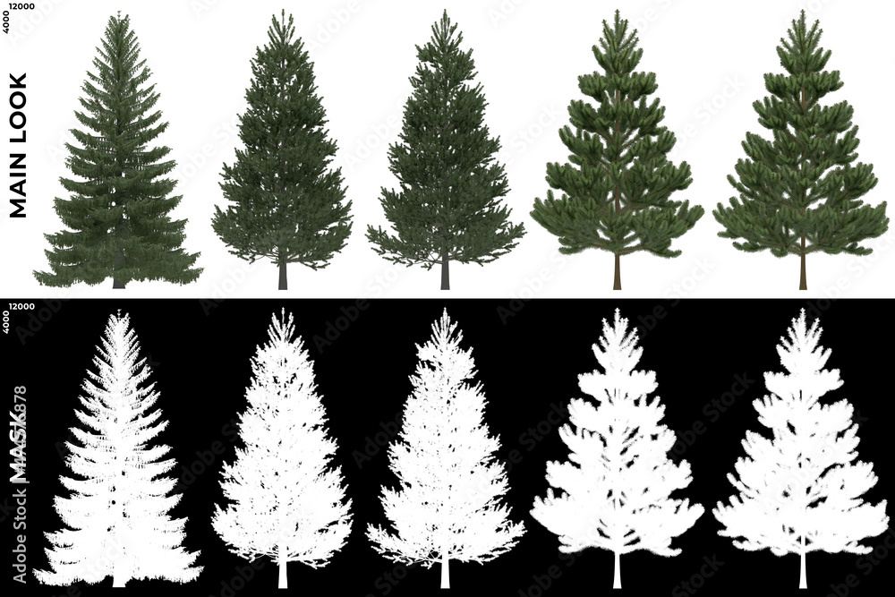 Wall mural 3d rendering of trees (generic pines) with alpha mask to cutout and png editing. forest and nature c