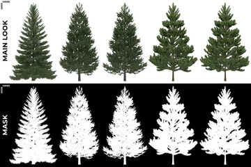 Obraz premium 3D Rendering of Trees (Generic Pines) with alpha mask to cutout and PNG editing. Forest and Nature Compositing. 