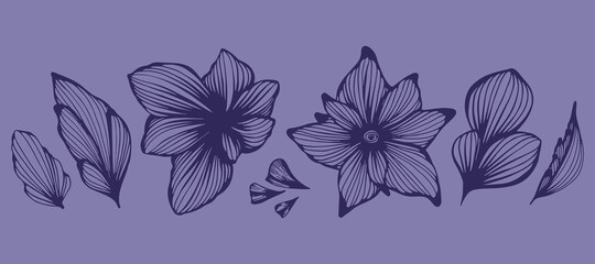 A set of flower buds of lilies in a thin line art. Graphic vector illustration of plants hand drawn on colored background very peri. Doodle style contour image.