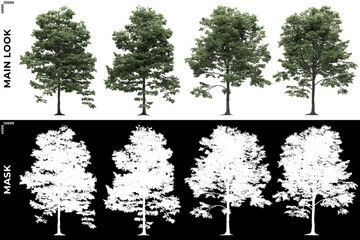 3D Rendering Front views of Generic Trees with alpha mask to cutout and PNG editing. Forest and Nature Compositing.	
