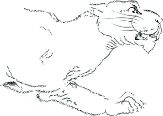 Vector illustration. Graphic lioness with a paw and a grin